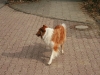 2009-03-02 (9)